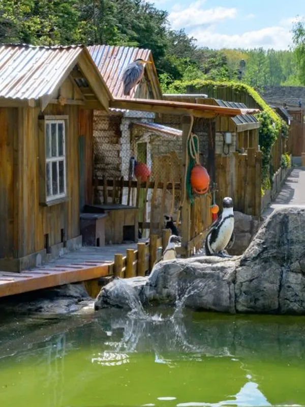 borehole-pumps-for-bideford-quayside-fountain-requirements-v1