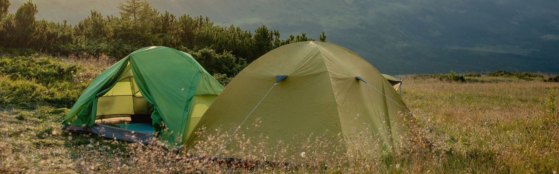 Two green tents in a field